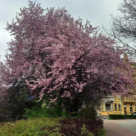 Apartamento Mishama Karlovy Vary