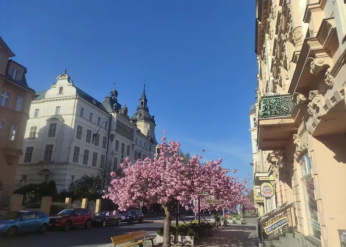 Mishama * Karlovy Vary